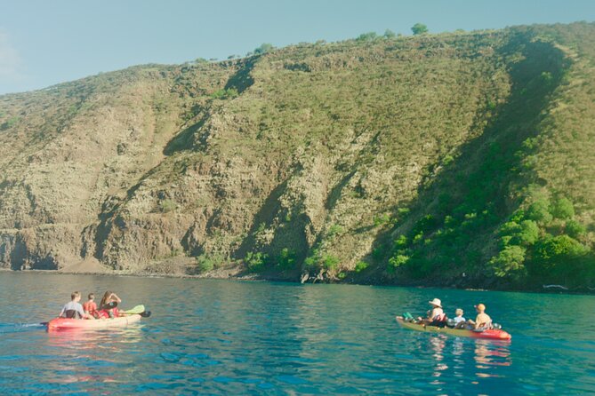 Midday Meander - Kealakekua Bay Kayak and Snorkel Adventure - Snorkeling along the Kaawaloa coastline