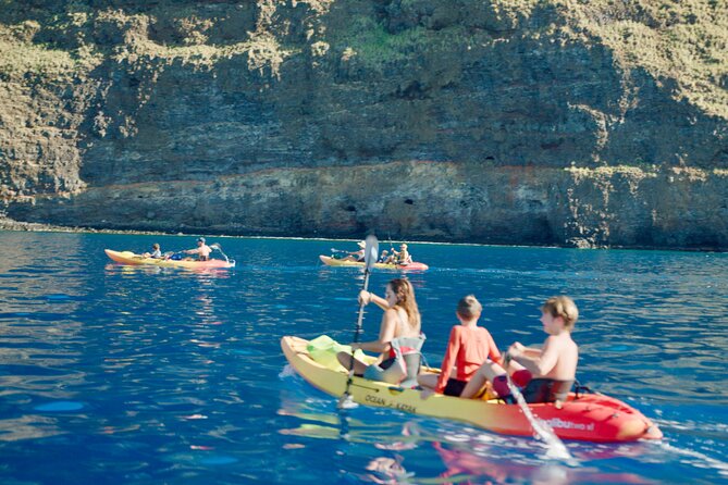 Midday Meander - Kealakekua Bay Kayak and Snorkel Adventure - What the $187.45 price gets you