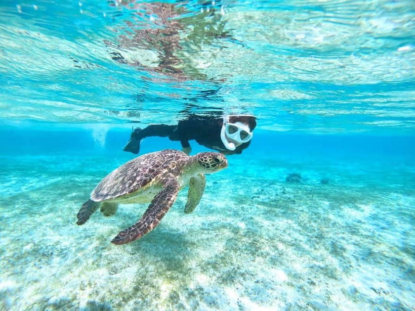 Miyako island: 3 sets! Snorkeling/Limestone Caving/Beach SUP - Starting at Imgya Marine Garden with SUP