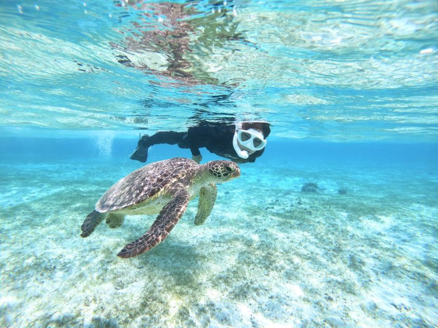 Miyako Island: SUP or Canoeing and Snorkeling Experience - Five things to know before booking