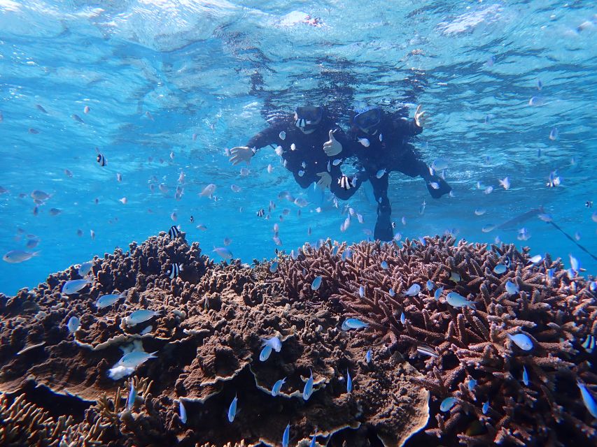 Miyako Island: SUP or Canoeing and Snorkeling Experience - Snorkeling for clear water and possible turtles