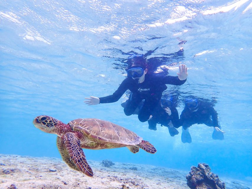 Miyako Island: SUP or Canoeing and Snorkeling Experience - Lunch at a local restaurant