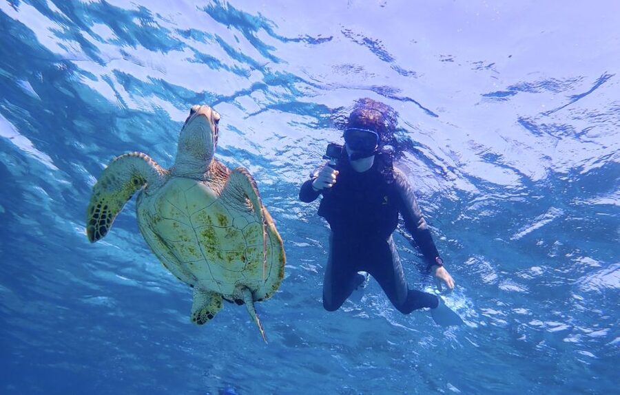 Miyako Island: SUP or Canoeing and Snorkeling Experience - Guide support and the language question
