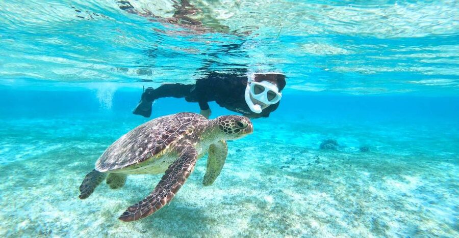 Miyako Island: SUP or Canoeing and Snorkeling Experience - Starting at the right beach or parking lot