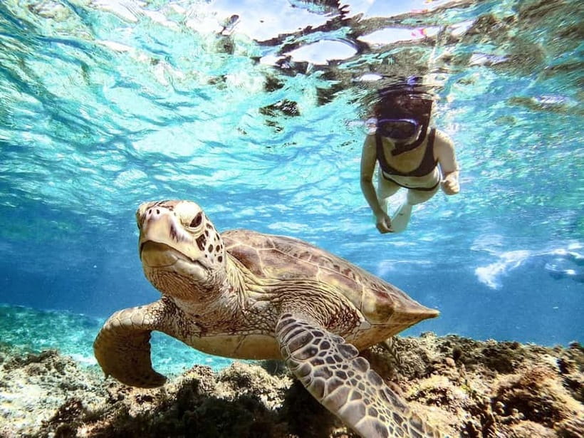 Miyakojima: SUP and Snorkeling- Two Activities in One Day - Guides, photos, and language support