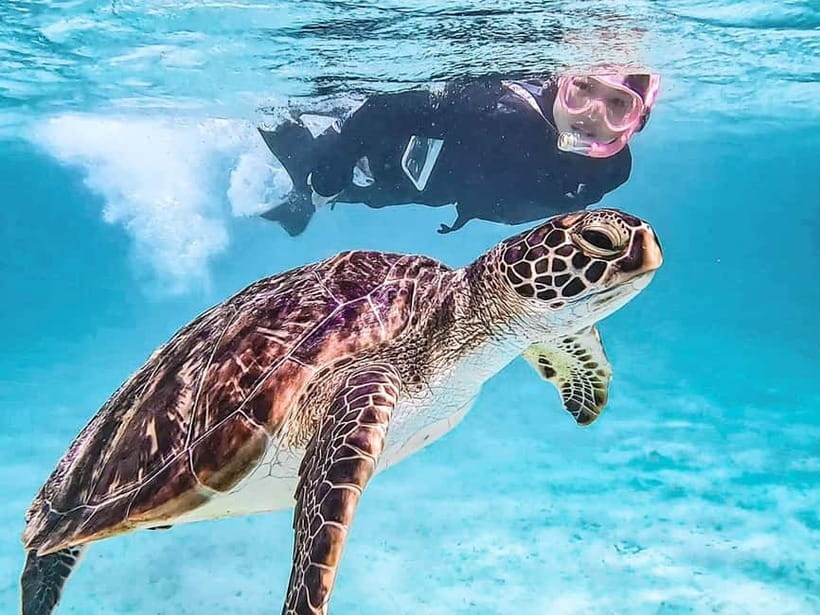 Miyakojima: SUP and Snorkeling- Two Activities in One Day - Who should choose this activity?