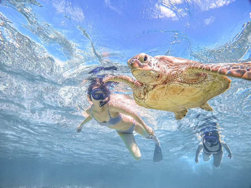 Miyakojima: SUP and Snorkeling- Two Activities in One Day - Starting at O-THREE Snorkel Miyakojima