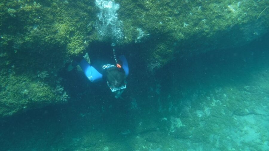 Mogán: Guided Kayak to Caves and Snorkeling Tour - What the $77 price really covers