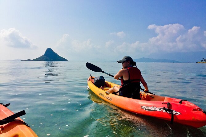 Mokolii Island Self Guided Kayak Tour - The best parts according to the rental setup