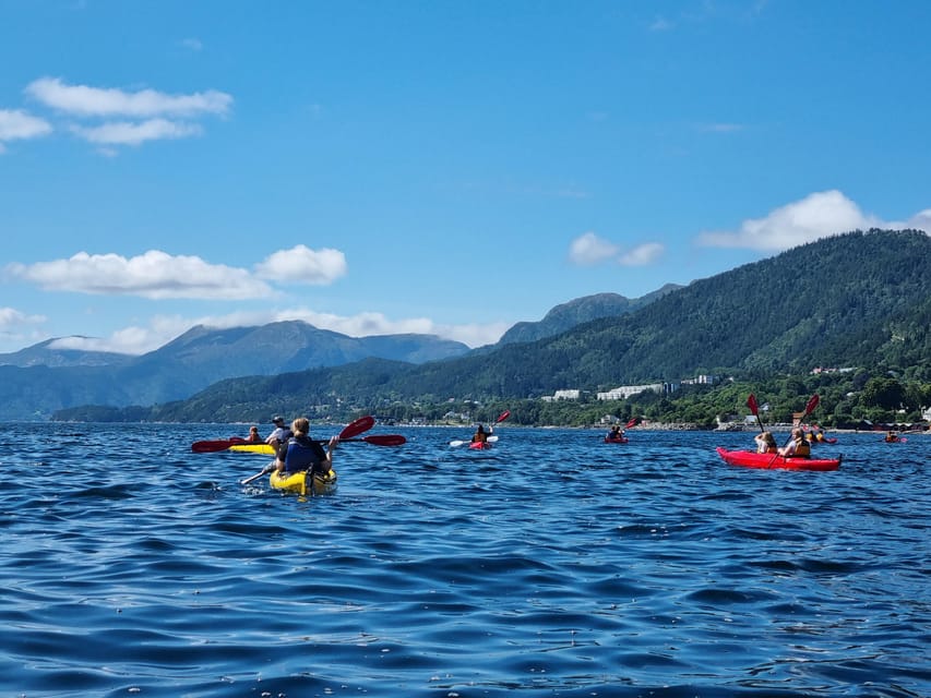 Molde - Guided kayak tour - What the guides add to the outing