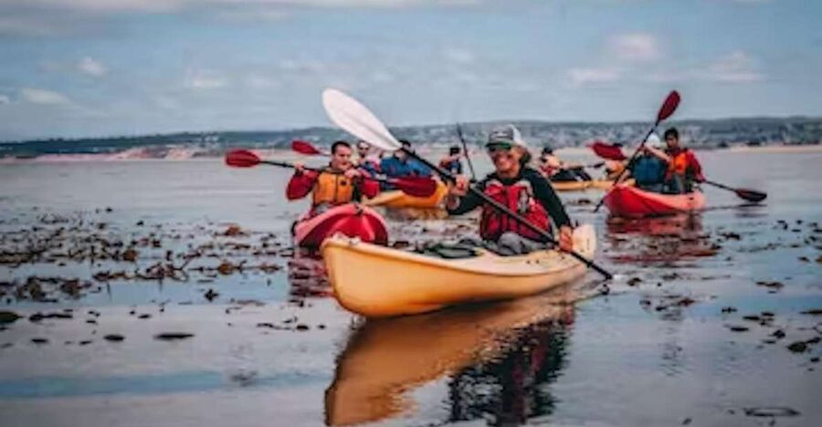 Monterey: Cannery Row Kayak Tour - Starting at Cannery Row with otters nearby