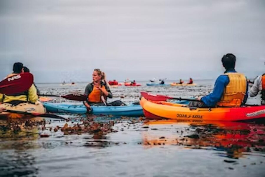 Monterey: Cannery Row Kayak Tour - Why the calm water matters