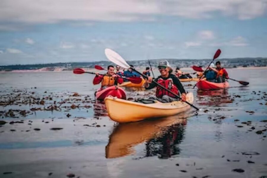 Monterey: Cannery Row Kayak Tour - What the $65 price includes