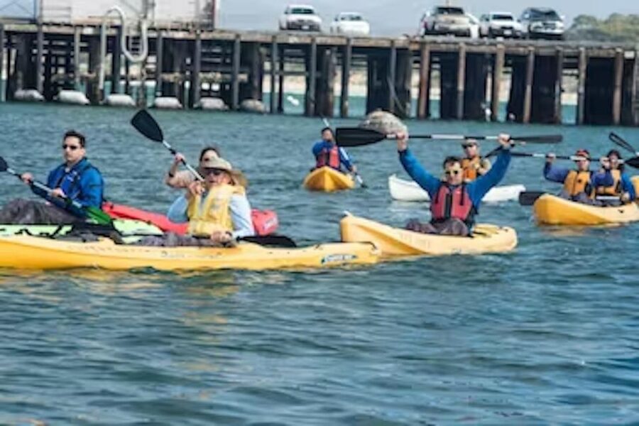 Monterey: Cannery Row Kayak Tour - Learning the basics before leaving shore