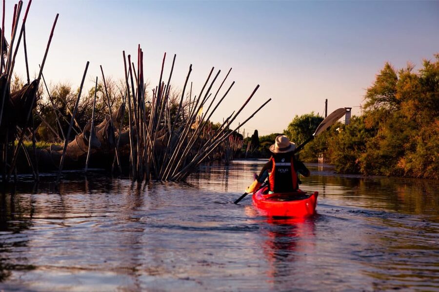 Montpellier : Birdwatching by kayak in the Camargue - Does the two-hour format feel long enough?