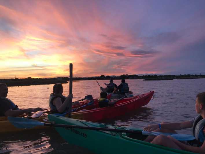 Montpellier : Birdwatching by kayak in the Camargue - Why this Camargue lagoon is worth seeing by kayak