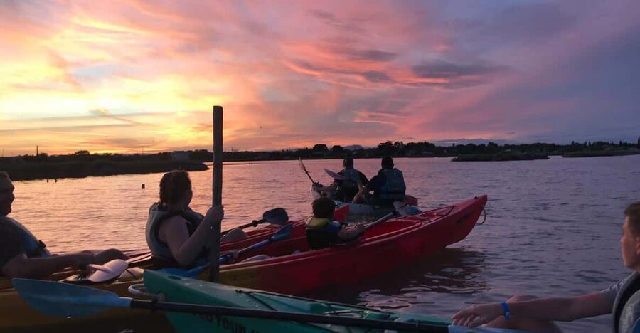 Montpellier : Birdwatching by kayak in the Camargue - The first paddle: a gentle introduction to the lagoon