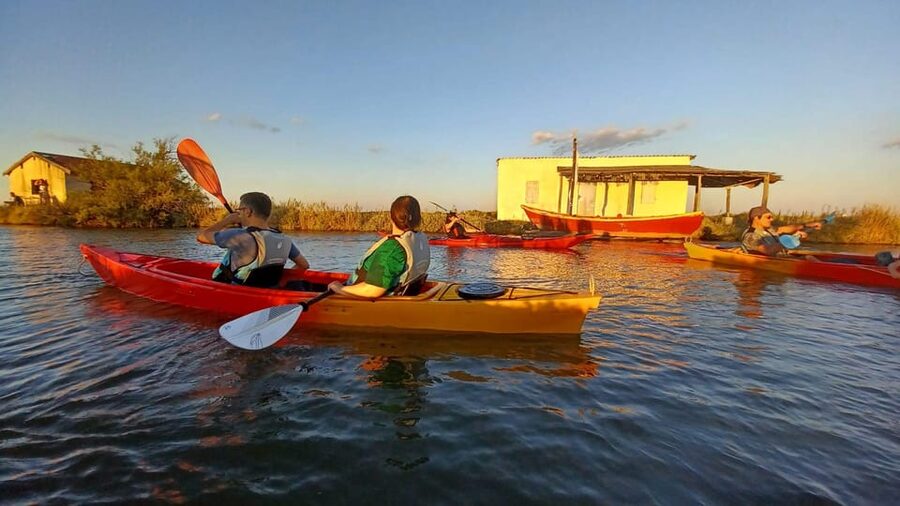 Montpellier : Birdwatching by kayak in the Camargue - What the $76 price really covers