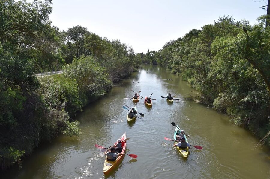 Montpellier : Birdwatching by kayak in the Camargue - How the trip suits different types of visitors