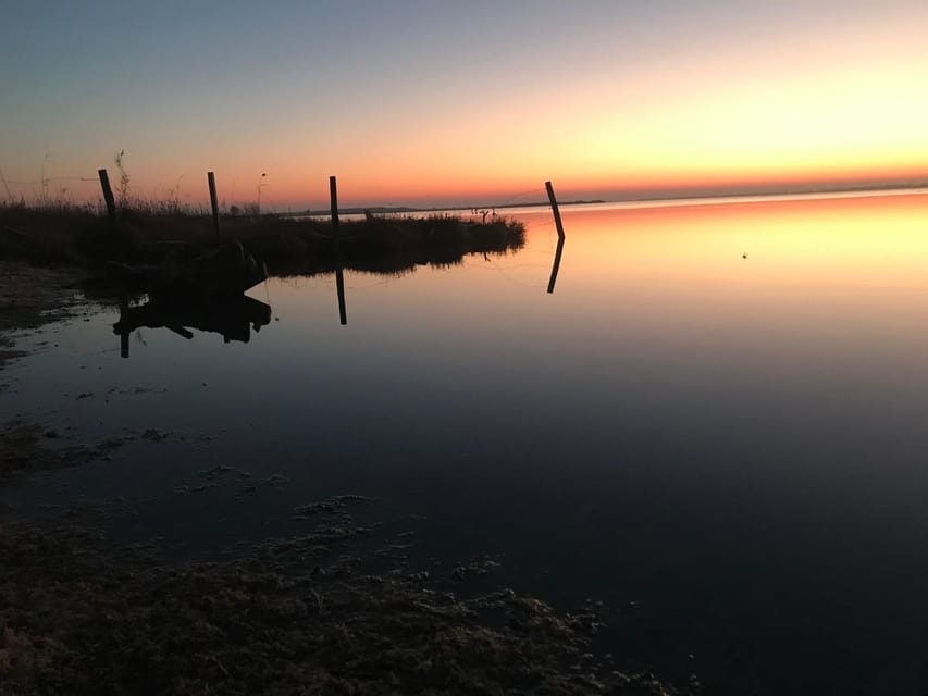 Montpellier : Birdwatching by kayak in the Camargue - What to bring and how to prepare
