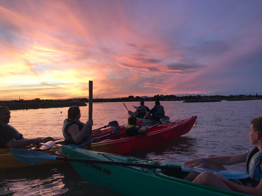Montpellier : Birdwatching by kayak in the Camargue - Meeting the guide and getting onto the water