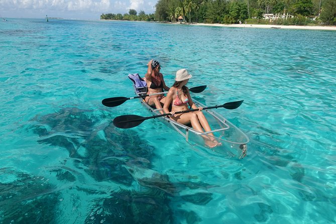 Moorea Lagoon Tour by Transparent Kayak - Local flavor, fruit juice, and a small-group feel