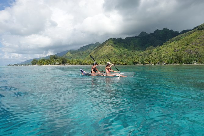 Moorea Lagoon Tour by Transparent Kayak - Is $51.17 good value for two hours?