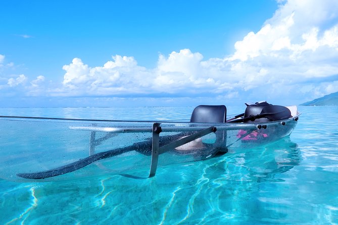 Moorea Lagoon Tour by Transparent Kayak - My call: book it for wildlife, not just the kayak