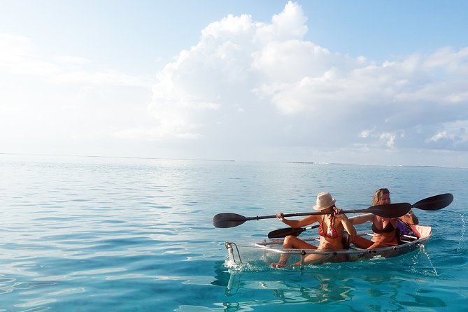 Moorea Lagoon Tour by Transparent Kayak - Seeing coral through a transparent kayak