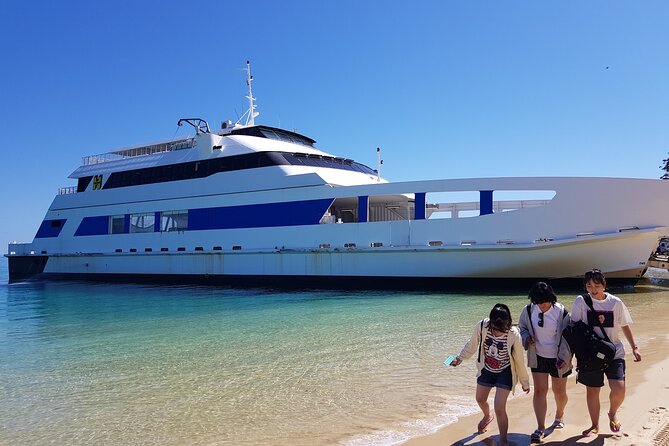 Moreton Island Day Trip (Kayak, Snorkel & Sandboard) frm Brisbane or Gold Coast - A schedule built for action, not relaxation