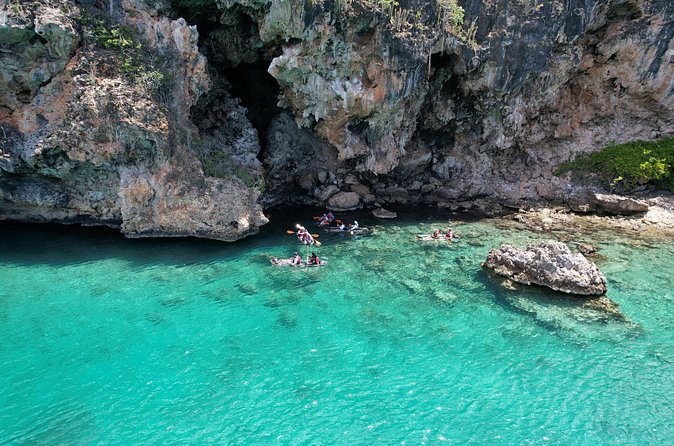 Morning Kayaking Tour to Little Bay - Who will enjoy this morning most
