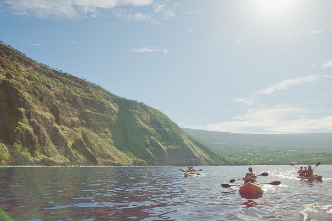 Morning Magic Kayak and Snorkel Adventure in Kealakekua Bay - Lunch from The Coffee Shack