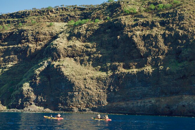 Morning Magic Kayak and Snorkel Adventure in Kealakekua Bay - Paddling across one of Hawaii’s most protected bays