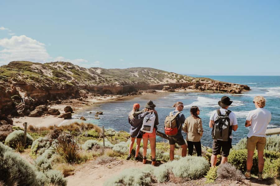 Mornington Peninsula: SUP, Hike, & Hot Springs Trip w/ Lunch - Paddleboarding on Port Phillip Bay
