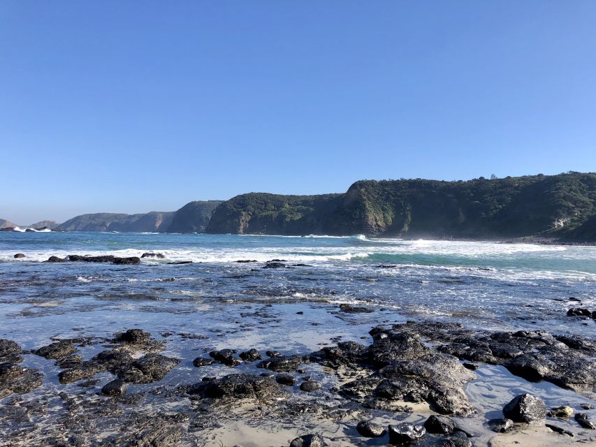 Mornington Peninsula: SUP, Hike, & Hot Springs Trip w/ Lunch - Scenic drives, wine, and the peninsula’s high points