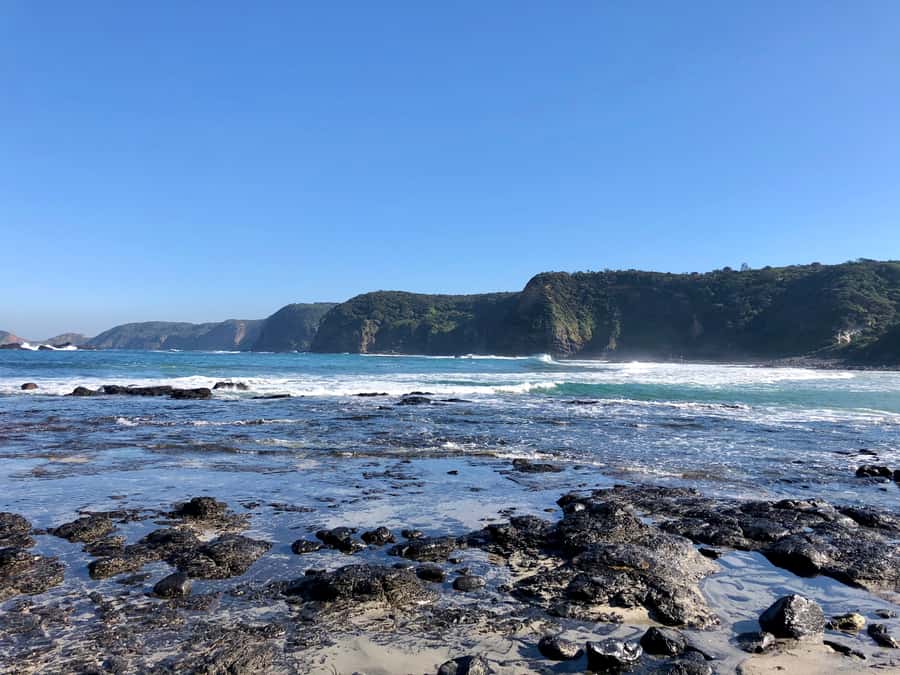 Mornington Peninsula: SUP, Hike, & Hot Springs Trip w/ Lunch - Is $204 good value?