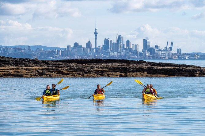 Motukorea / Browns Island Sea Kayak Journey - Morning tea, coffee, and the practical value of included food