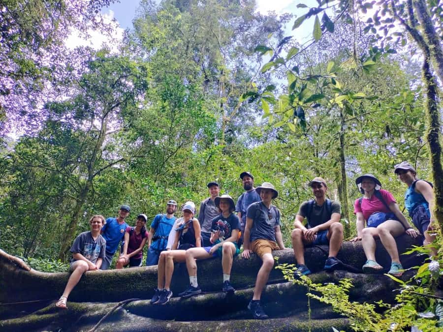 Munduk : Jungle Trekking,Canoeing,waterfall &authentic lunch - Walking Through the Jungle Near Lake Buyan