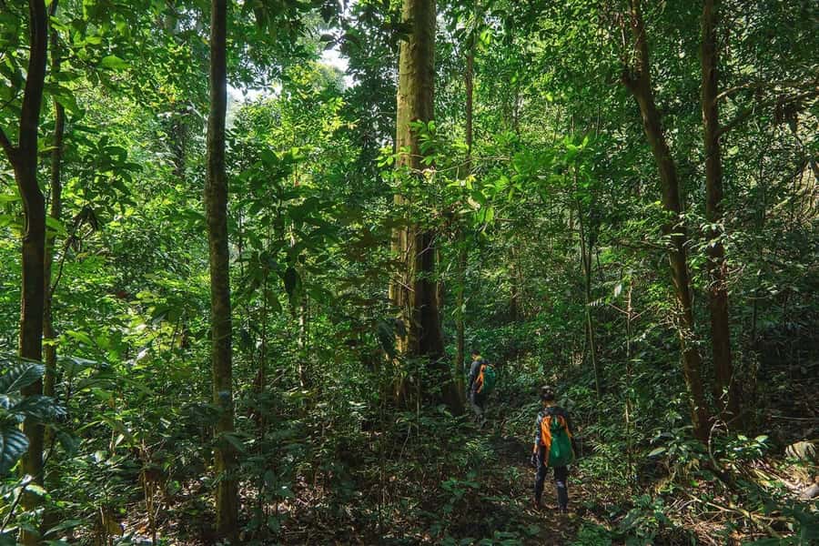 Munduk: Twin Lakes Jungle Hike with Lake Canoe and Waterfall - Who should book this hike?