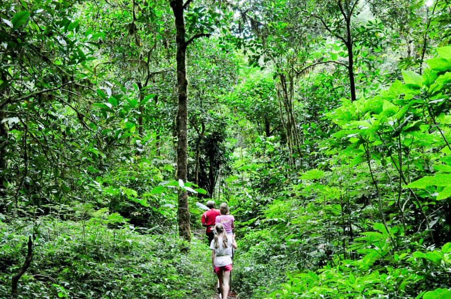 Munduk: Twin Lakes Jungle Hike with Lake Canoe and Waterfall - Pura Ulun Danu Tamblingan and Pura Dalem Tamblingan