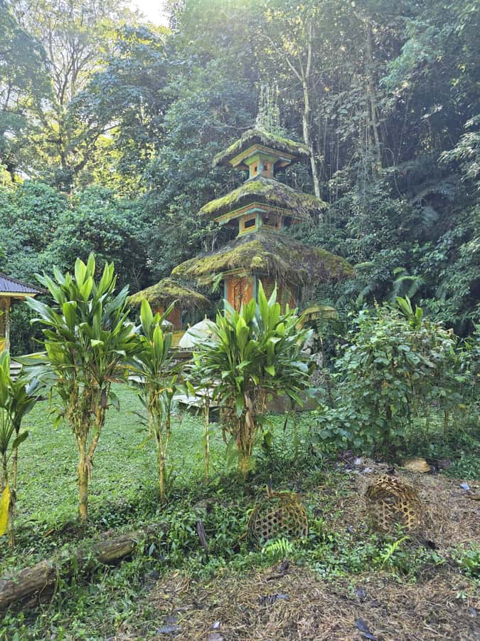 Munduk: Twin Lakes Jungle Hike with Lake Canoe and Waterfall - Local food and the optional lunch