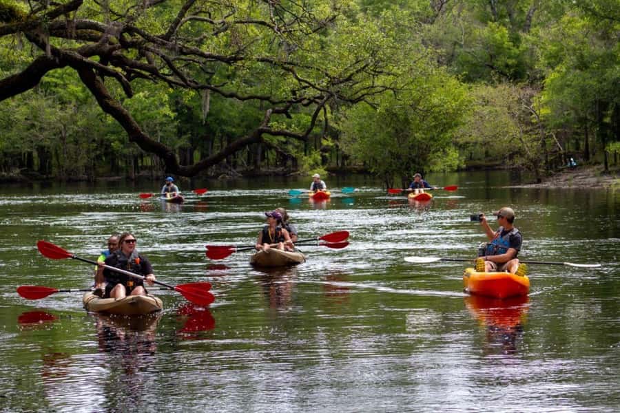 Myrtle Beach: Waccamaw River Kayak Island Tour - Key points to know before you paddle