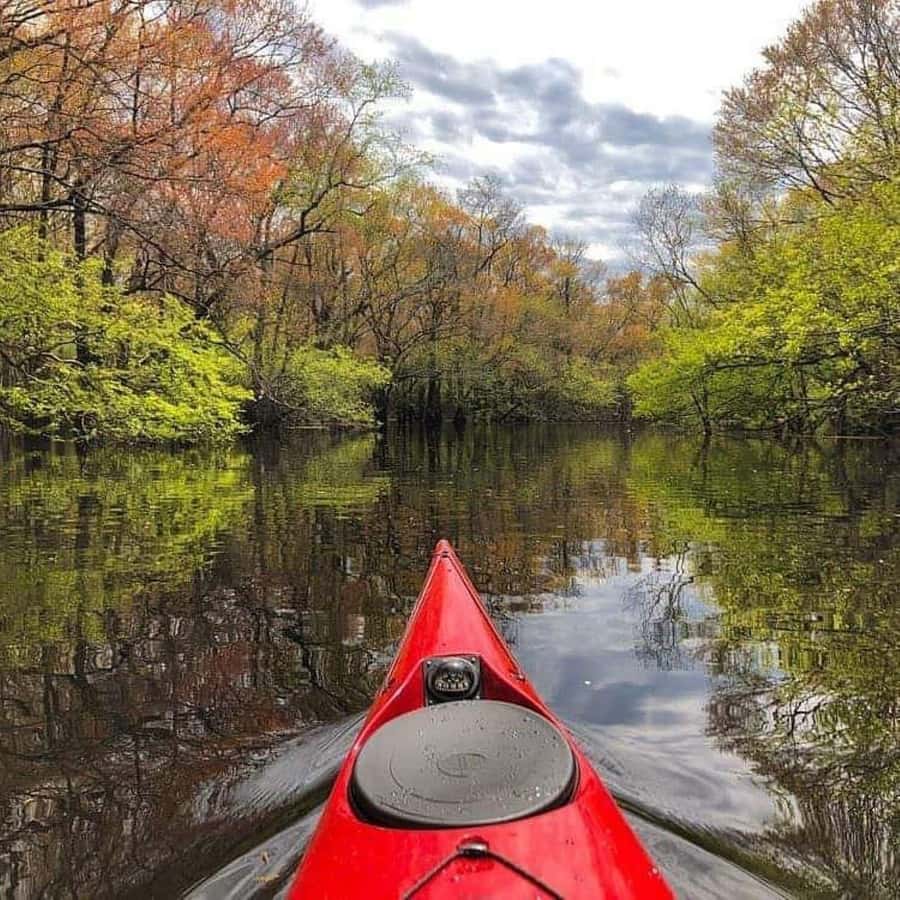 Myrtle Beach: Waccamaw River Kayak Island Tour - Starting at River Island Outpost