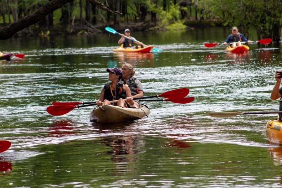 Myrtle Beach: Waccamaw River Kayak Island Tour - Watching for Waccamaw wildlife