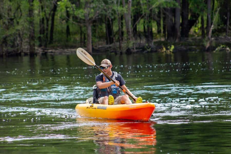 Myrtle Beach: Waccamaw River Kayak Island Tour - A calm paddle on the Waccamaw River