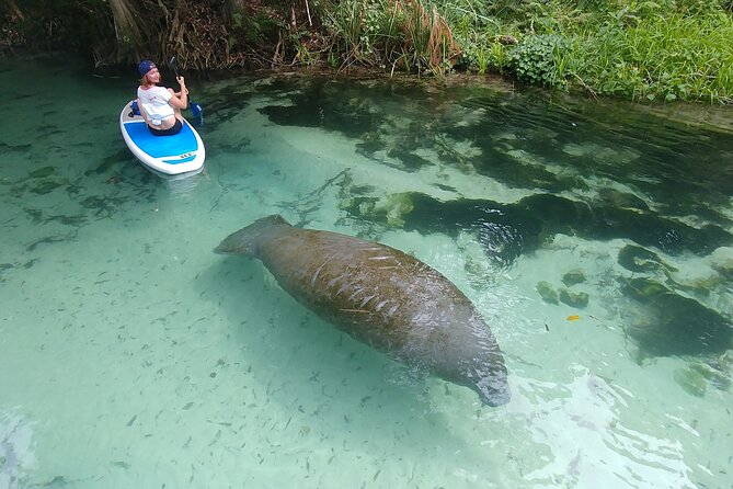 Nature & Island Exploration on SUP/Kayak - The essential details at a glance