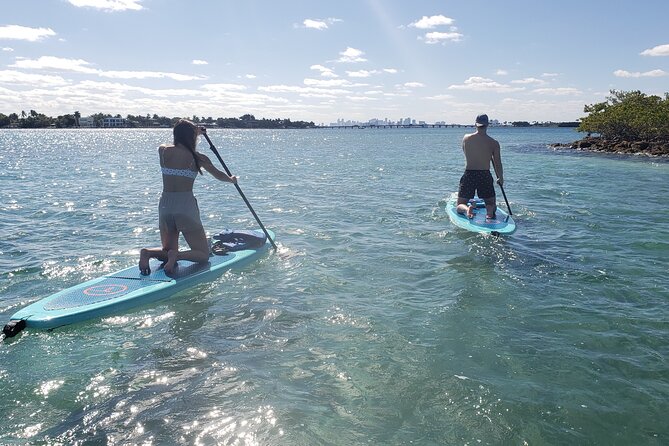 Nature & Island Exploration on SUP/Kayak - Paddling through the mangrove channels