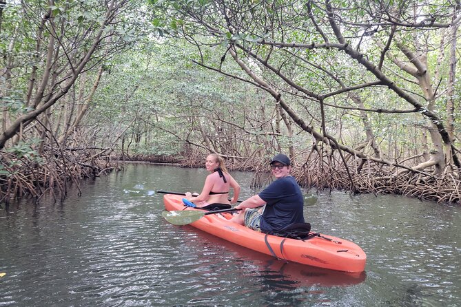 Nature & Island Exploration on SUP/Kayak - Raccoon Island and the wildlife encounter