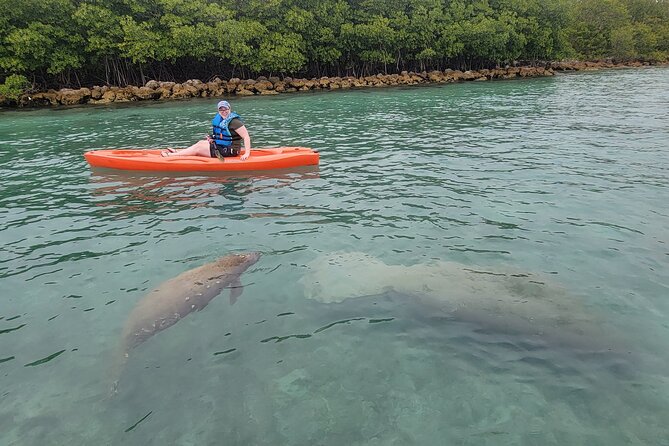 Nature & Island Exploration on SUP/Kayak - Choosing between a kayak and SUP