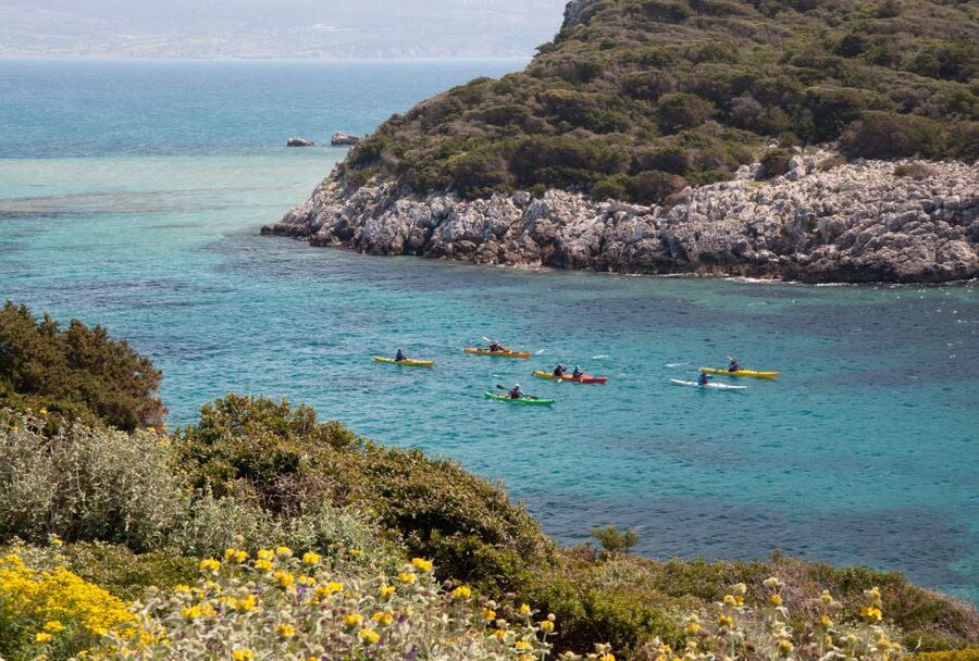Navarino Bay: Sea Kayaking with Lunch - The paddle back to Golden Sand